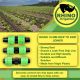 RHINO IRRIGATION DRIP JOINER 16MM