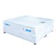 FOAMKING DREAM FOAM KING SIZED BED SET - GOLD