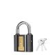 Ingco Iron Padlock - 32mm - Ing_Dipl0301