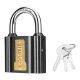 Ingco Iron Padlock - 63mm